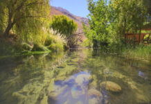 ECO-FEST ’25:Nuevo evento musical en el Valle del Elqui